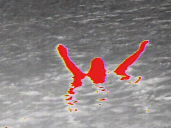 Marine InstAlert | FLIR Systems Highlights the hottest item in red